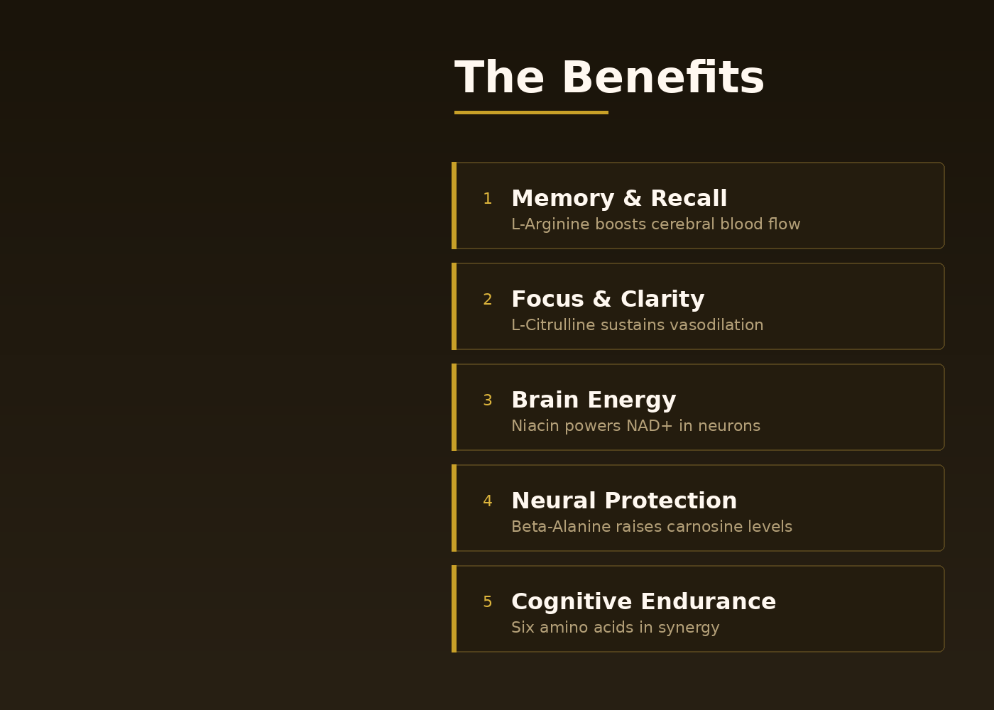 PrimeHoney benefits — appetite and portion support, steady daily energy, a routine you can keep